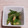アクセル☆'s cooksnap of when they made 簡単　オクラのあかり和え.