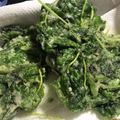 ナイツ☆'s cooksnap of when they made 【農家のレシピ】モロヘイヤのかき揚げ.