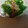 猫のフィガロ's cooksnap of when they made 夏のおつまみ！オクラとカニカマの簡単和え.