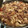 Marilyn☆M's cooksnap of when they made 簡単絶品♡牛丼の具.