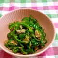 赤い電話's cooksnap of when they made ピーマンとツナで無限ピーマン.
