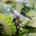 さとばあば's cooksnap of when they made はやとうりの簡単浅漬け!.