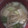 ﾌﾞﾚﾝﾀﾞ's cooksnap of when they made ネギと豆腐とえのきの味噌汁.