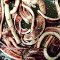xyzクック's cooksnap of when they made イカとスナップエンドウのアヒージョ.
