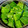 きおら+-22's cooksnap of when they made 半夏だんご（みょうがだんご）.