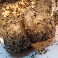 あき姫ちゃん's cooksnap of when they made 黒ごま餅.
