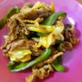 猫と料理人's cooksnap of when they made みんな大好き回鍋肉.