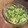 みみず◎'s cooksnap of when they made アボガドと卵とレタスのサラダ！！.