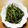 らびのゆうママ's cooksnap of when they made ホットクックで∞無限ピーマン∞.