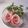 アクセル☆'s cooksnap of when they made 秋のオードブル♪生ハム＆梨の薔薇❁.