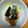 fuu235's cooksnap of when they made ゆかりのイブクロ　　カフェ風焼き鳥丼.