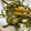 クックH86AFM☆'s cooksnap of when they made 厚揚げ・にんじん・切り昆布の煮物.