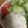 ﾌﾞﾚﾝﾀﾞ's cooksnap of when they made とろろ蕎麦＊.
