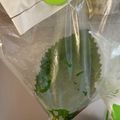 ringer193's cooksnap of when they made 目からウロコ！！！大葉の保存方法.