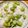 ⭐とっくん⭐'s cooksnap of when they made まぜるだけ♪しお豆ごはん.