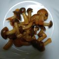 fuu235's cooksnap of when they made しめじのきんぴら.