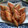 たまゴン♪'s cooksnap of when they made かにかまの磯辺揚げ.