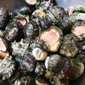 虹色にこり沖縄's cooksnap of when they made 究極のデトックス！貝の汁(みかん葉入り).