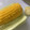 のりこったん's cooksnap of when they made とっても簡単★皮ごとレンチンとうもろこし.
