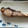 たまゴン♪'s cooksnap of when they made ぶりの塩焼き.