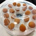 アイクス's cooksnap of when they made あんずで梅干？ あんず干！ 超減塩５％.