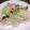しまちょ★'s cooksnap of when they made ペペロンチーノ風そうめんチャンプルー.