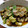 虹透夜's cooksnap of when they made 茄子のおろしツナ和え♥レンジで簡単☆.