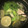 クックYFGU1I☆'s cooksnap of when they made たっぷり野菜をいただく！すだち豚しゃぶ.