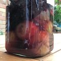 canadawhistler's cooksnap of when they made あんずで梅干し　梅漬け風味.