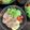 2児ママみきてぃ's cooksnap of when they made 給料日前！カイワレおかかレタスサラダ☆.