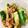 ★まいちむ★'s cooksnap of when they made 梅としらすのごま油香るたたききゅうり.