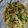 ｙａ－ｙａ－'s cooksnap of when they made 絶品！083：匠の鶏レバにら炒め.