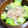 湯～ぽん's cooksnap of when they made ❤️芽キャベツの柚子胡椒和え.