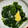 muumi☆'s cooksnap of when they made ☆簡単!!わかめの麺つゆ和え☆.