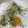dottco's cooksnap of when they made とろろご飯.