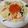 mixaaa's cooksnap of when they made 【絶品】鮭とイクラのクリームパスタ♪.