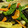ウオノメェ's cooksnap of when they made ☀暑い日はコレ　冷え冷え野菜の揚げびたし.