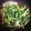 ♬あじさいのレシピ♬'s cooksnap of when they made 小松菜と舞茸の炒め物♪オイスターソース.