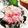 クックE662AA☆'s cooksnap of when they made ネギトロ丼♡覚書記録でございます♡.