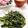 クックE662AA☆'s cooksnap of when they made 空芯菜のにんにく胡椒炒め.