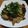 野菜大好きCHIE☆'s cooksnap of when they made 鶏肉と茄子の生姜焼き.