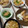 ぐりtoぐら's cooksnap of when they made 定番♪簡単♪♪鶏しめじの炊き込みごはん.