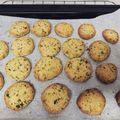 まぐきち's cooksnap of when they made 粉チーズで簡単☆バジルチーズクッキー.