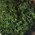 たんたん　's cooksnap of when they made 山椒の葉の冷凍保存.