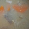 甘党ですが's cooksnap of when they made 簡単豚汁.