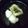 xyzクック's cooksnap of when they made 鱧のお吸い物.
