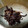 ODAKUMI's cooksnap of when they made きくらげと生姜の甘辛きんぴら.