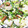 クックZOIN37☆'s cooksnap of when they made 簡単!豆苗とウインナーの玉子炒め.