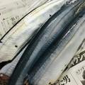 ｂｅｒｒｙ＋'s cooksnap of when they made 簡単！早い！きれい！秋刀魚の内臓のとり方.