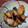 もものすけのまま's cooksnap of when they made 簡単☆すき焼きのたれでなすの生姜焼き.